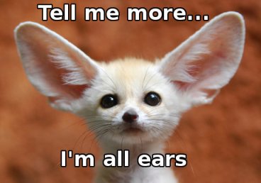 all ears